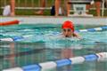 14 and under, 2012, 50m, Inter high swimming gala, boys, breastroke, breaststroke