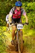 3542, Bicycle Sports, Mountain Bike, Off Road, Sport, The Sabie Experience