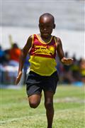 17 February 2012, 2012, 8, 8 yrs, 80m, Athletics, Inter Primary, Laerskool Laeveld, boys, under 8