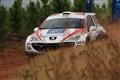 Rally shake down Rally shake down