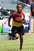 17 Februarie, 17 Februarie 2012, 2012, 80m, 9 jaar, 9 year, February 17, February 17 2012, Interprimary, Laerskool Laeveld, Laerskool Laeveld Interprimary, Laerskool Laeveld interlaer, dogters 9 jaar, dogters 9 jaar 80m, girl 9 year 80m, girls 9 year, laerskool, primary school